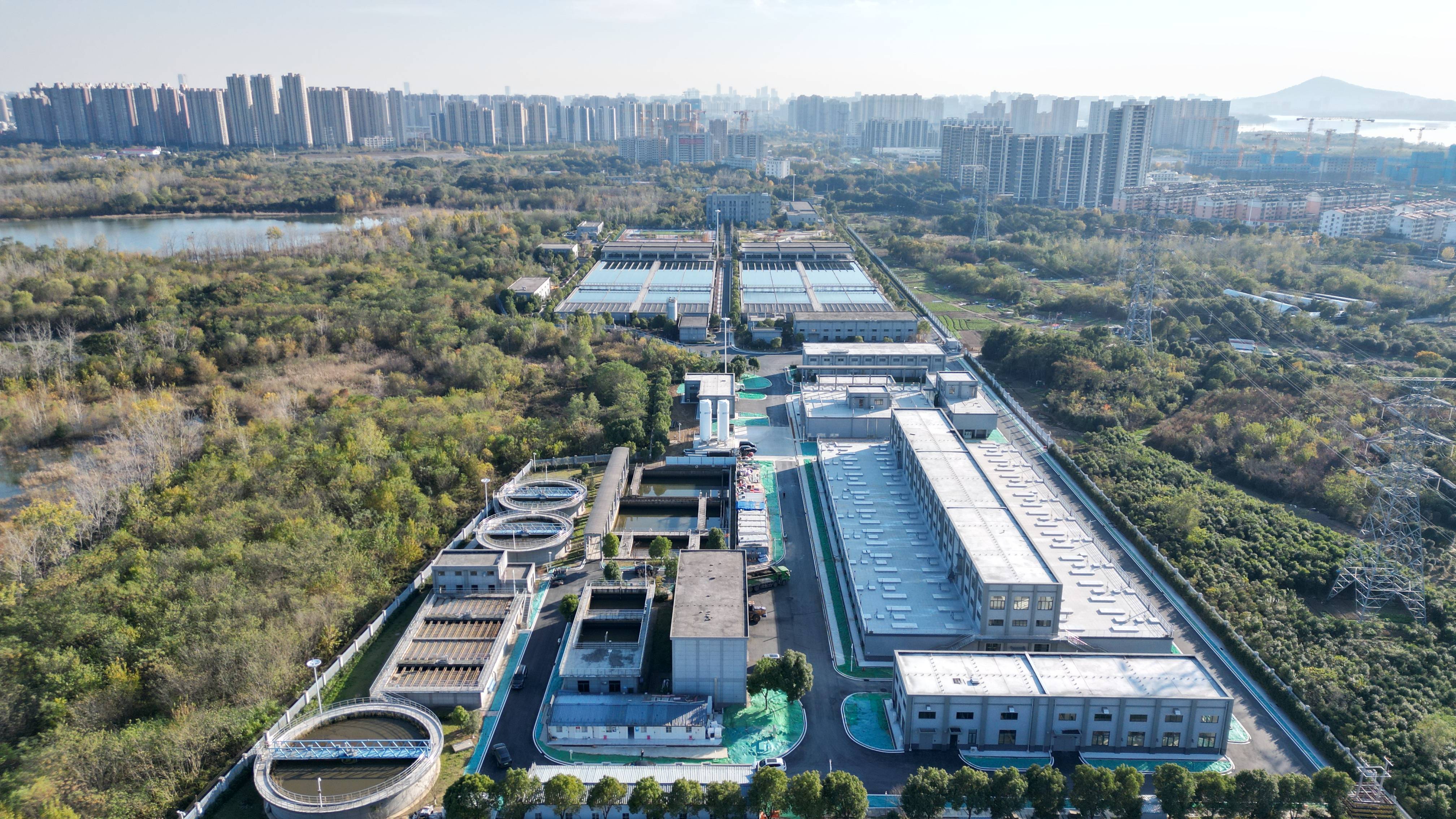 海口市合肥专业企业价值增长(合肥市重点企业产业目录)