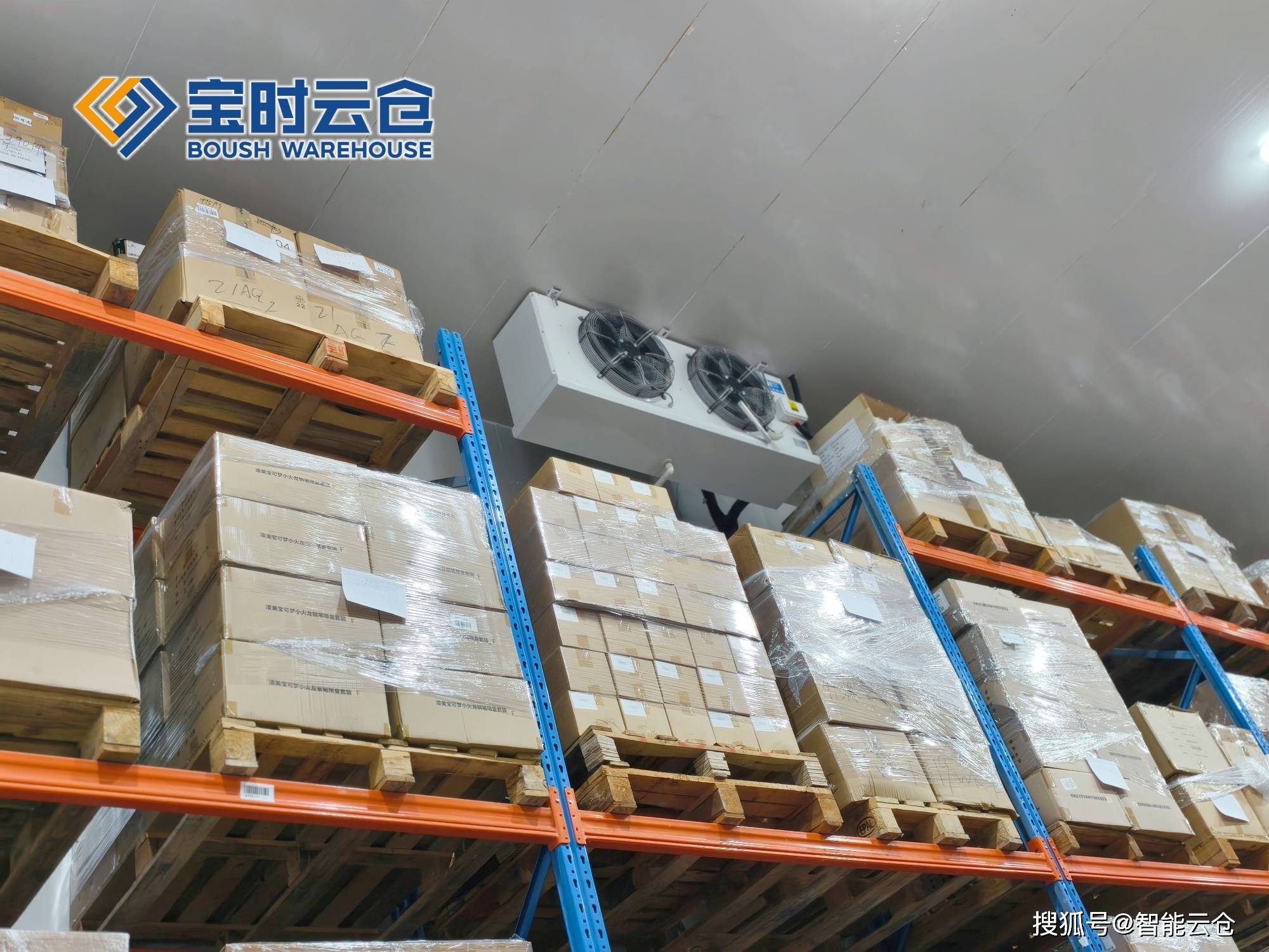 海口市领先物流品牌升级(领先物流服务商是自营物流)