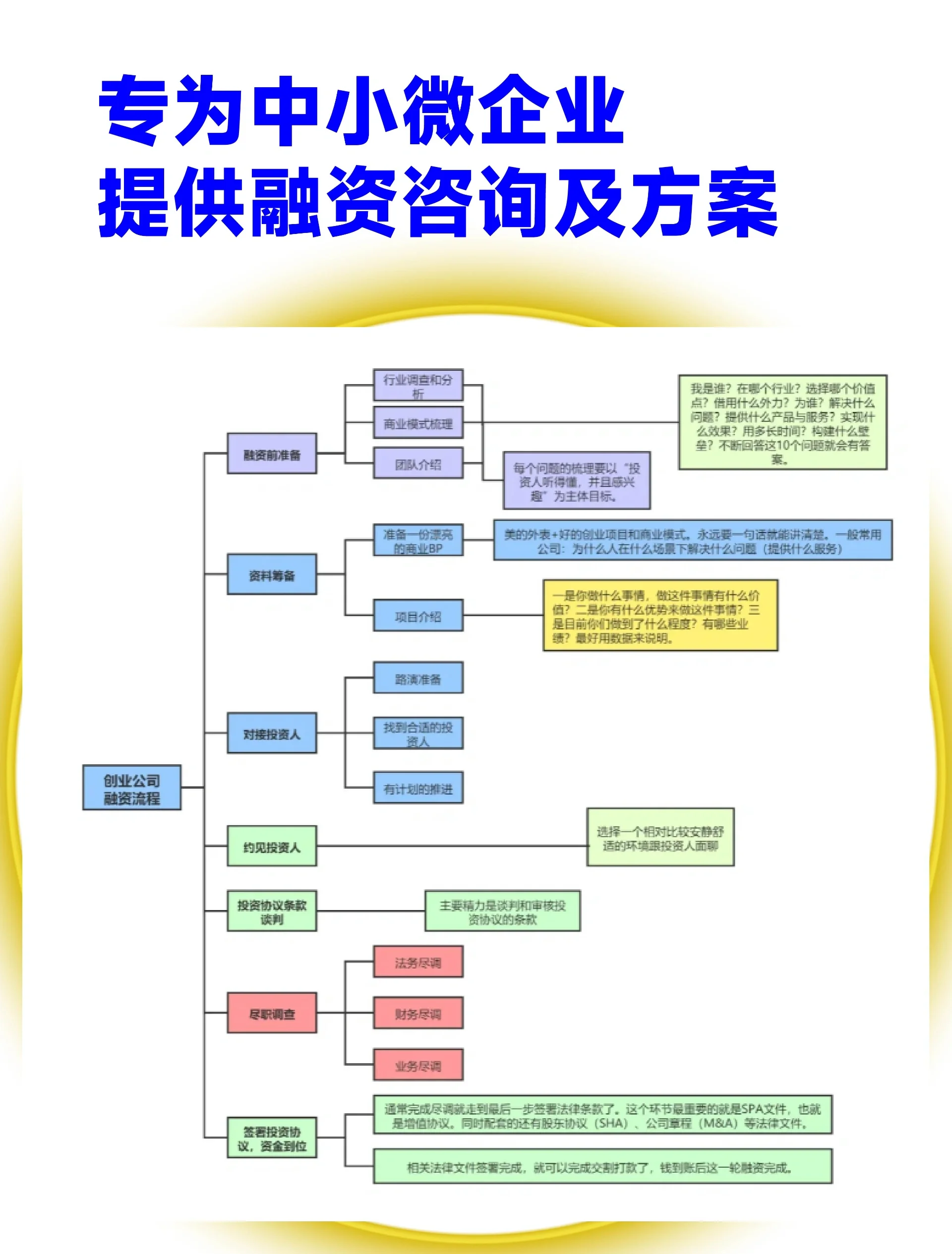 海口市宠物企业资金管理(宠物管理机构叫什么)