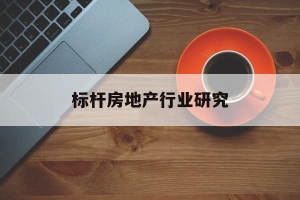 海口市标杆房地产行业研究(房地产领域的标杆人物)