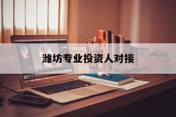 海口市潍坊专业投资人对接(潍坊专业投资人对接中心)