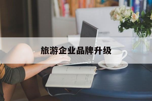 海口市旅游企业品牌升级(旅游企业品牌升级措施)