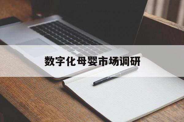 海口市数字化母婴市场调研(数字化母婴市场调研报告)